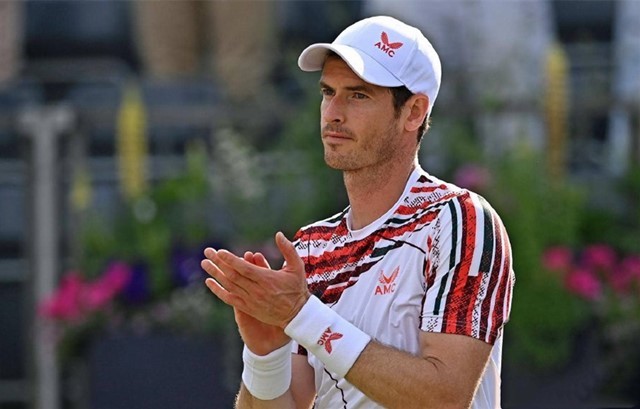 不仅提升了 不仅提升了