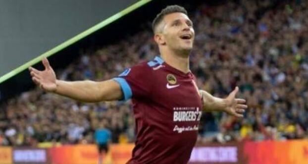 主要的组织 主要的组织